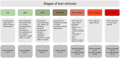 Prognostic assessment of liver cirrhosis and its complications: current concepts and future perspectives